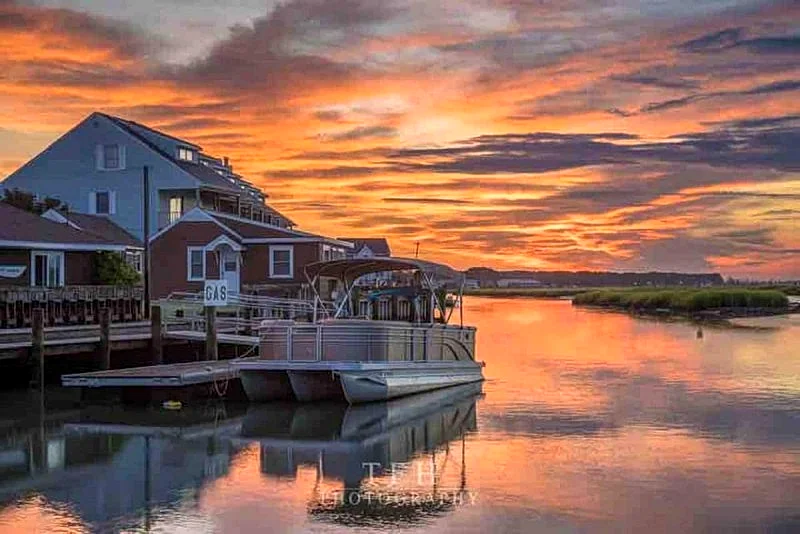Waterfront cottage with the most peaceful view!